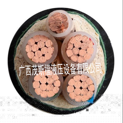 廣東低壓電力電纜YJV22